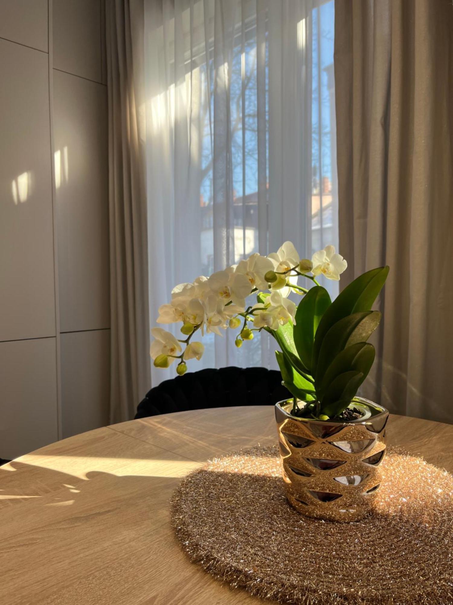 Apartament Kaszmirowy Bielsko-Biała Eksteriør bilde